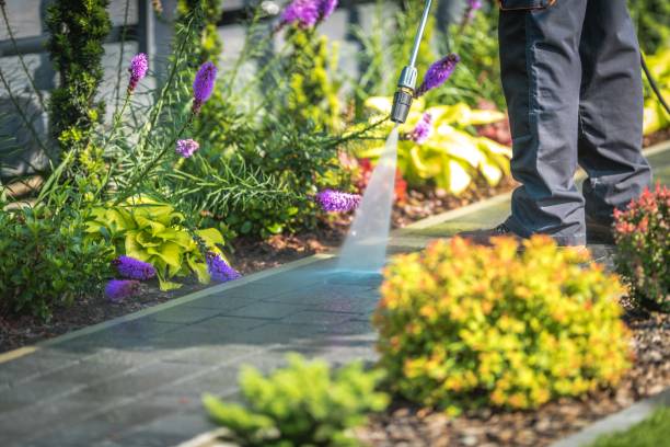 Best Restaurant Pressure Washing  in Hicksville, OH
