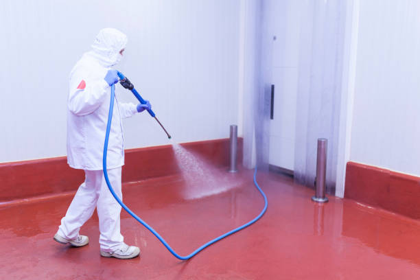 Trusted Hicksville, OH Pressure Washing Services Experts